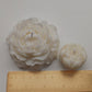 Pfingstrose Kerze | Blume Kerze | Peonie Candle
